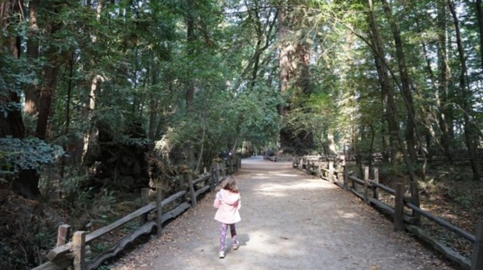 Life Walking