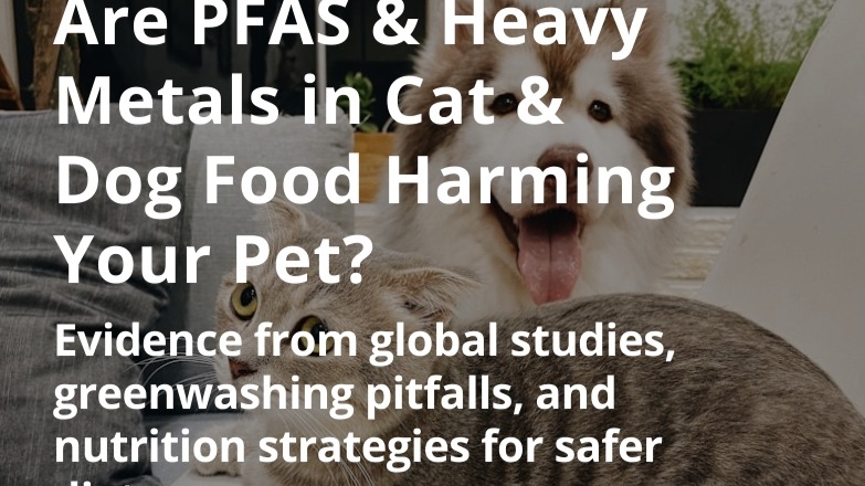 Are PFAS &amp; Heavy Metals in Cat &amp; Dog Food Harming Your Pet?