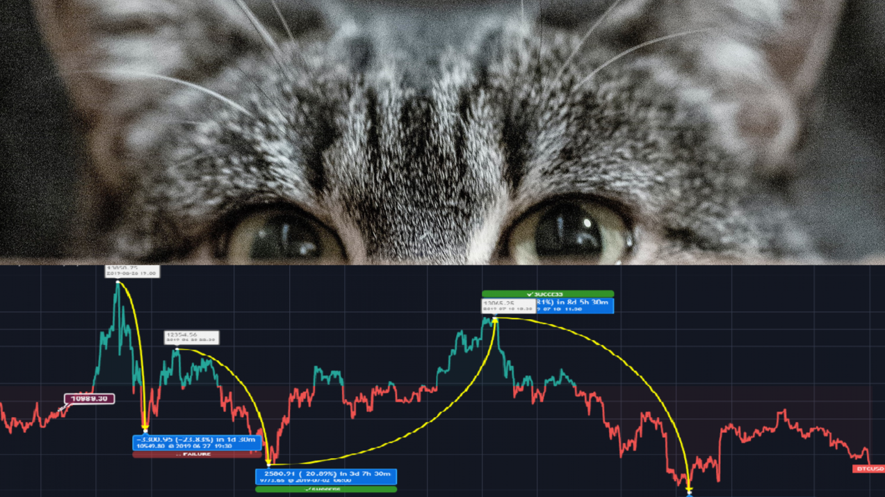 The chart the cat dragged in