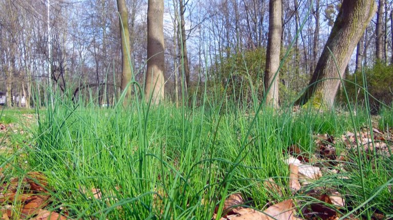 Saturday is still a sign of warm spring - what will the weather be like ...