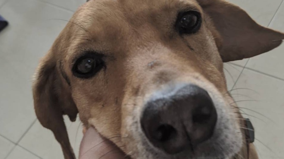 Noob to crypto? Follow good boy pepe