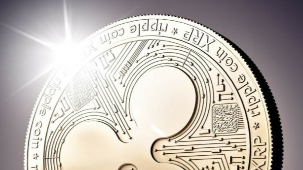 Xrp and Ripple