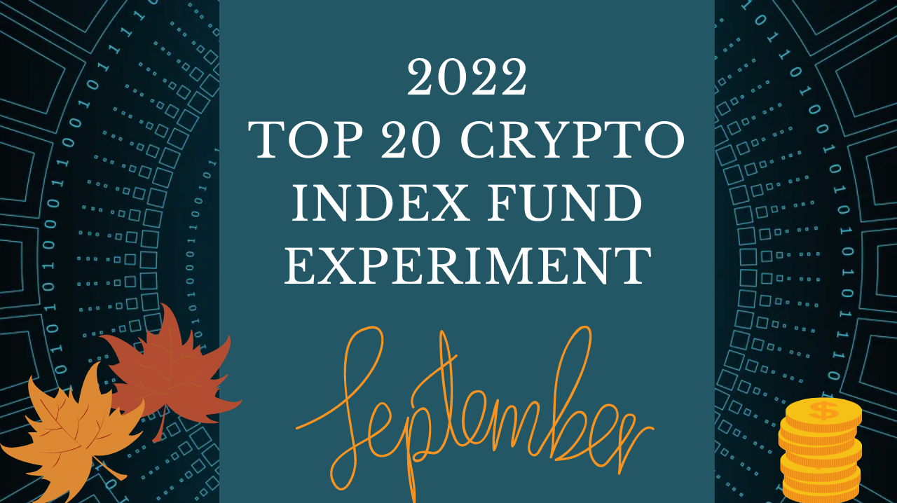 EXPERIMENT - Tracking Top 20 Cryptos Of 2022 - Month Nine- DOWN 67%
