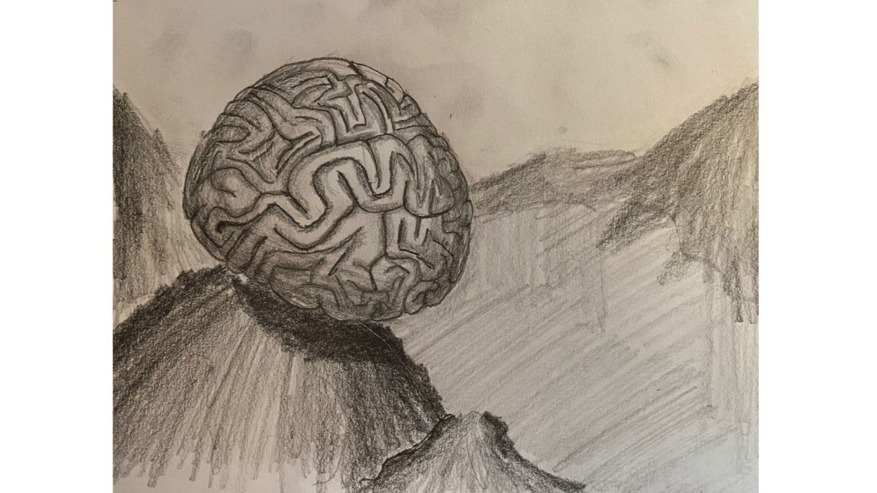 Brain-looking coral in seascape - drawing in pencil