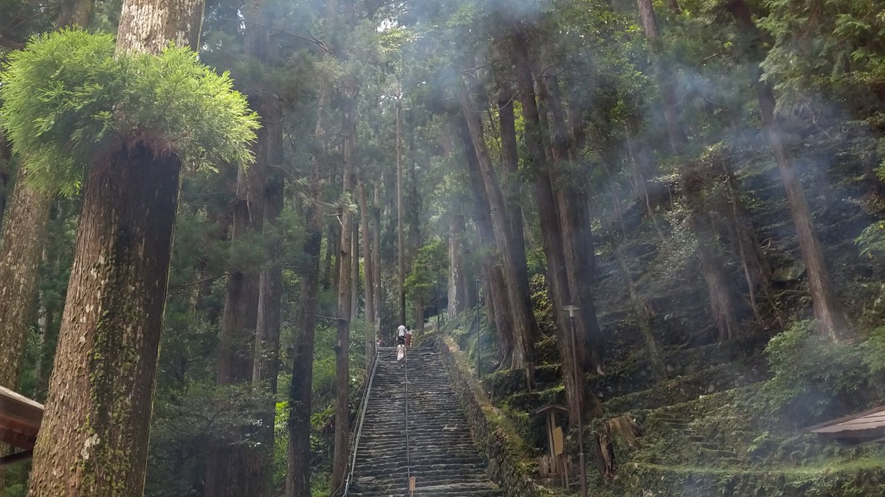 Stairs in a forest