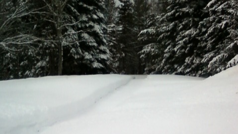 winter