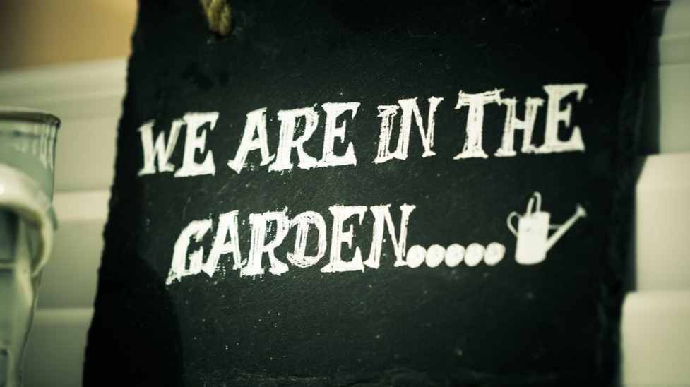 In the garden