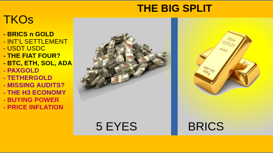 BRICS vs 5 EYES : THE BIG SPLIT