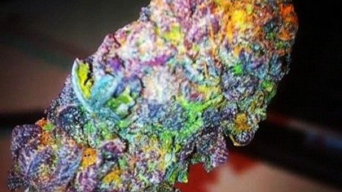 Fruity loops rainbow