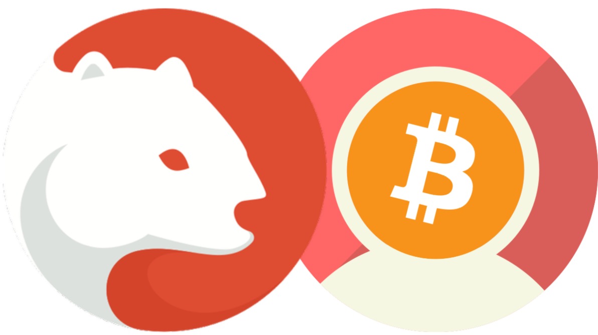 Wombat Meets pBTC