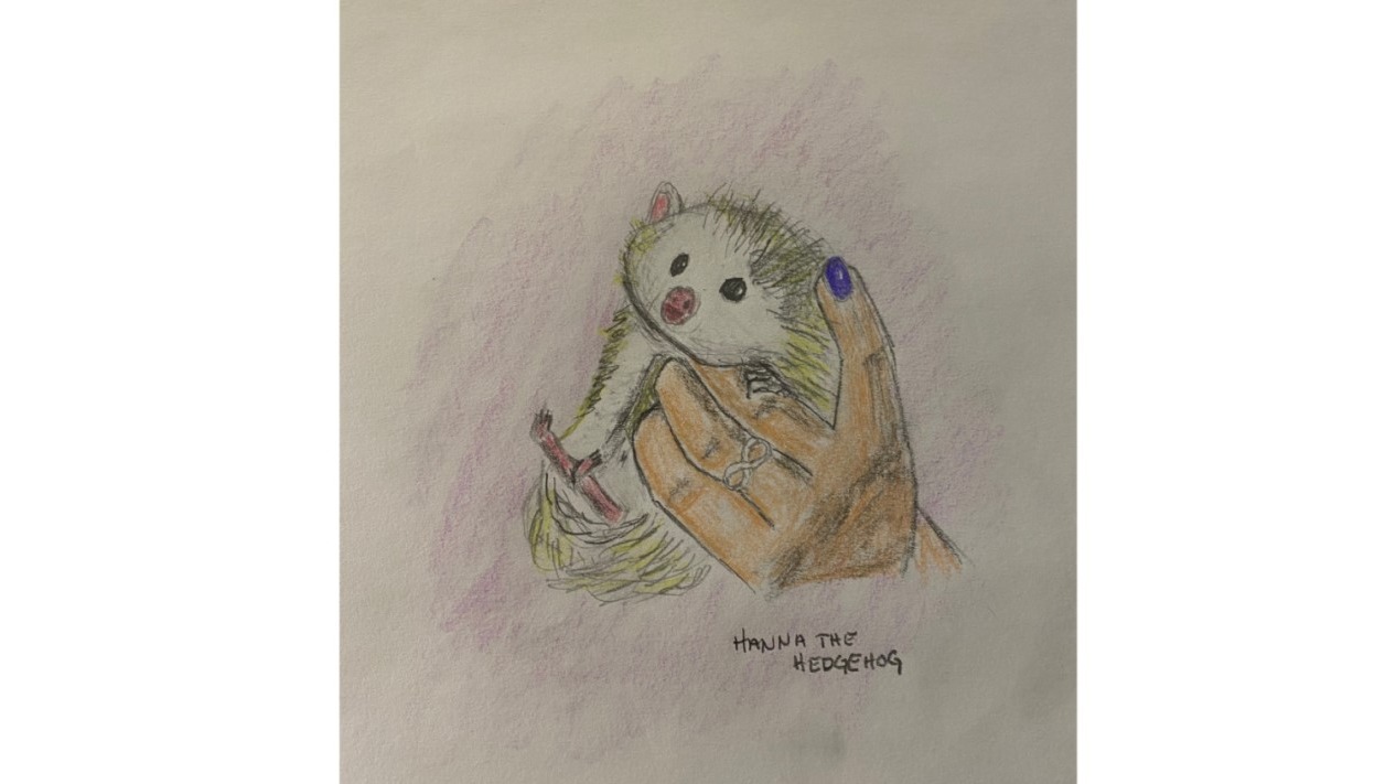 Hanna the Hedgehog - colored pencil drawing