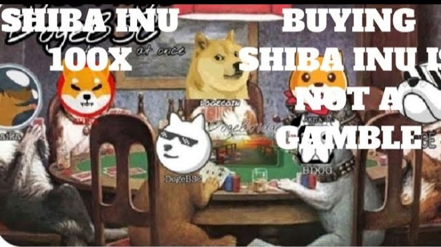 Shib playing poker