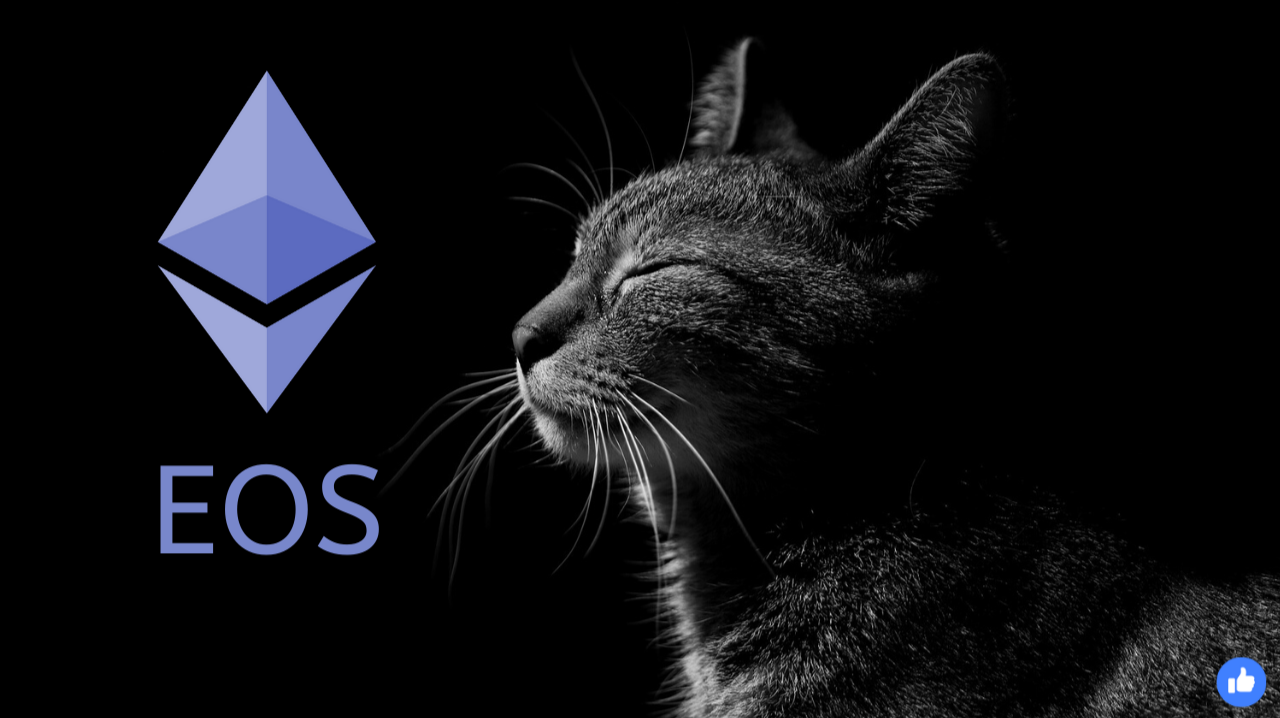 what is eos cryptocurrency what is eos cryptocurrency