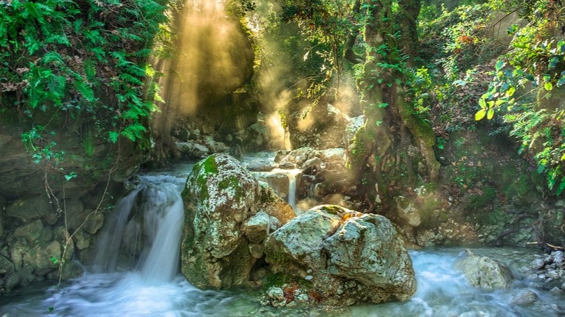 Rocks and watter
