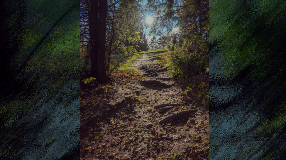 park