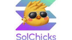 SolChicks