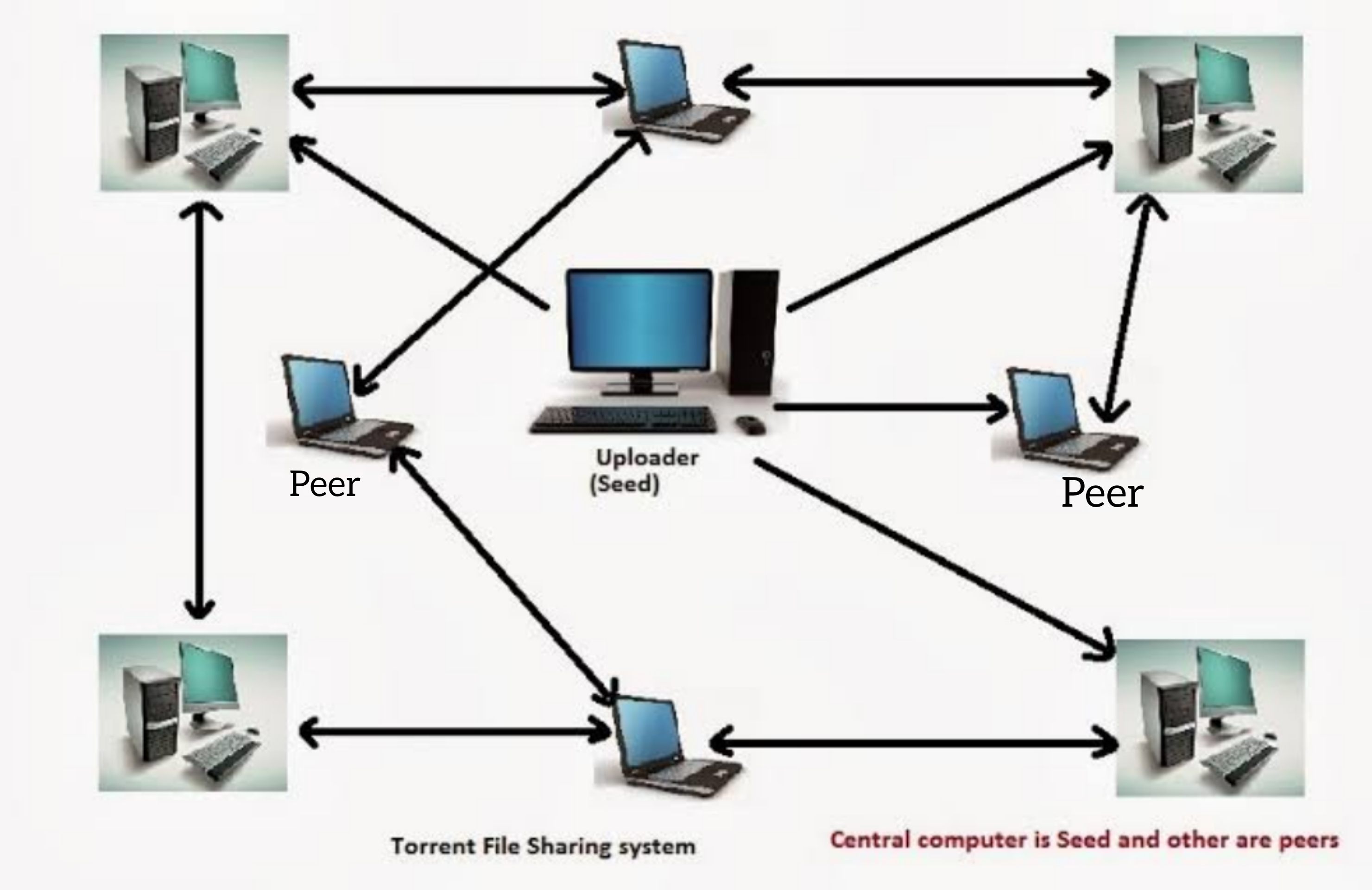 Everything You Need to Know About BitTorrent (BTT): An In Depth Analysis