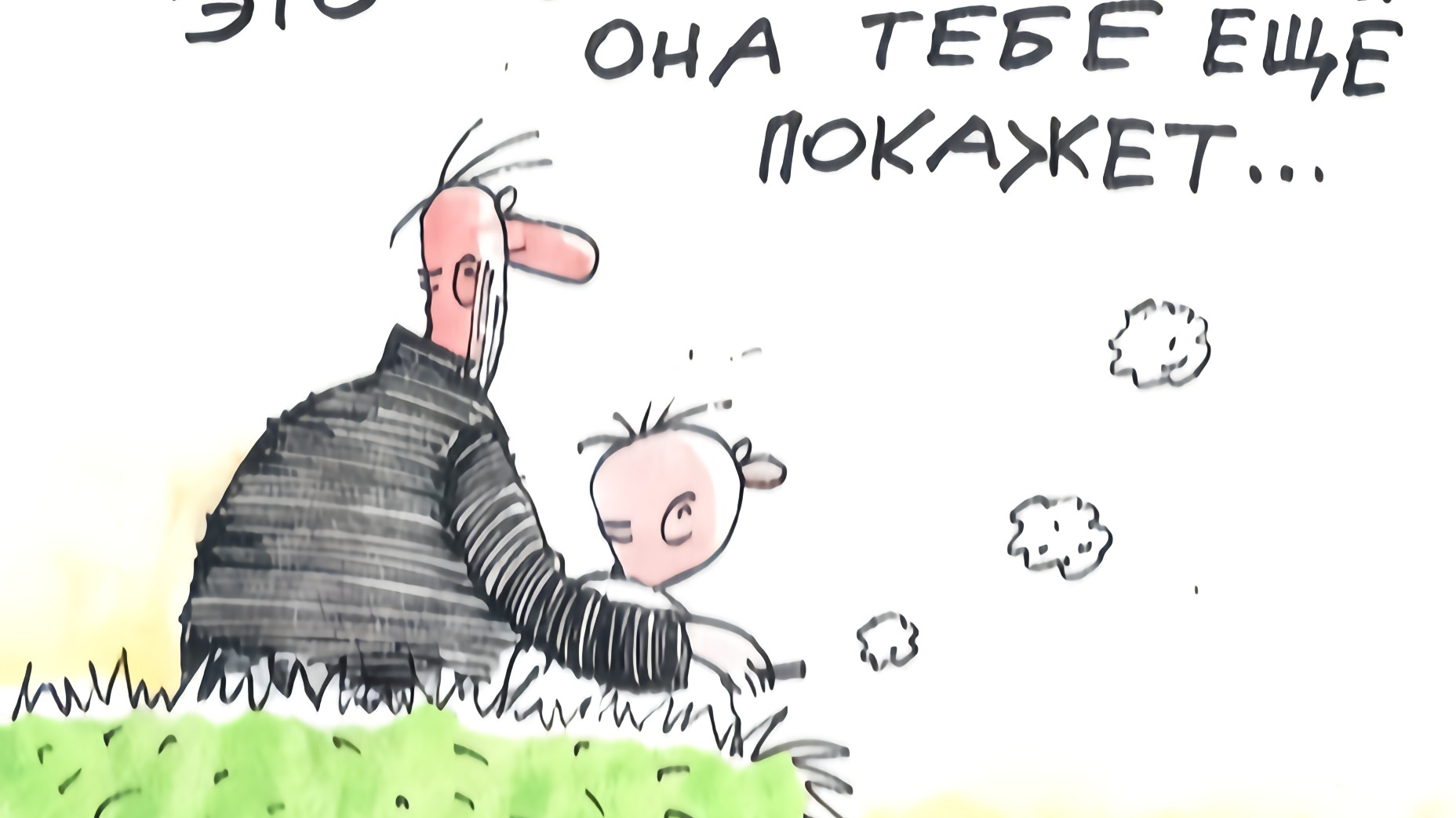 Homeland