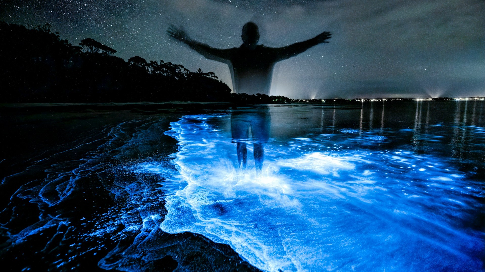 bioluminescence