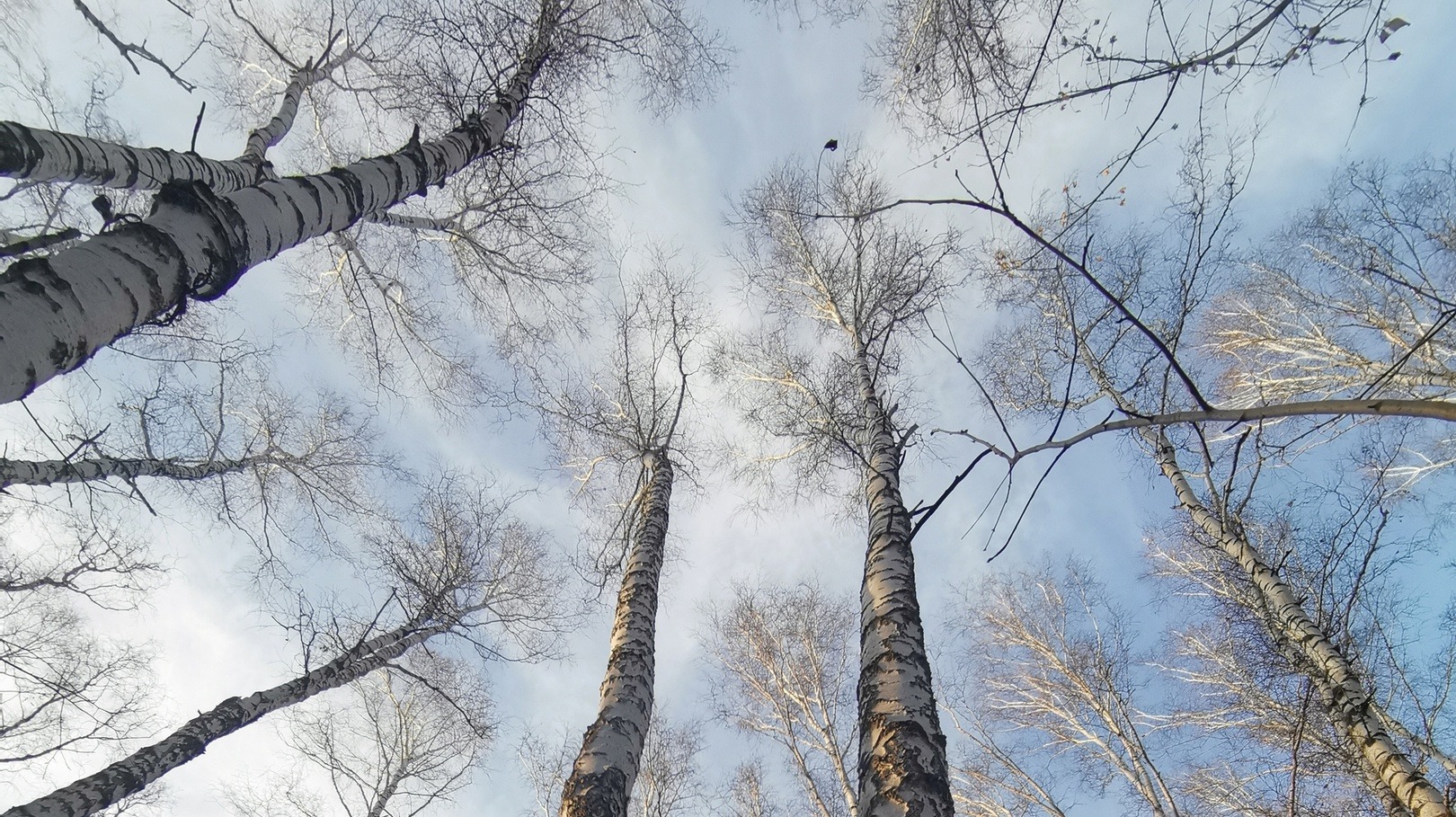 smartphone photography