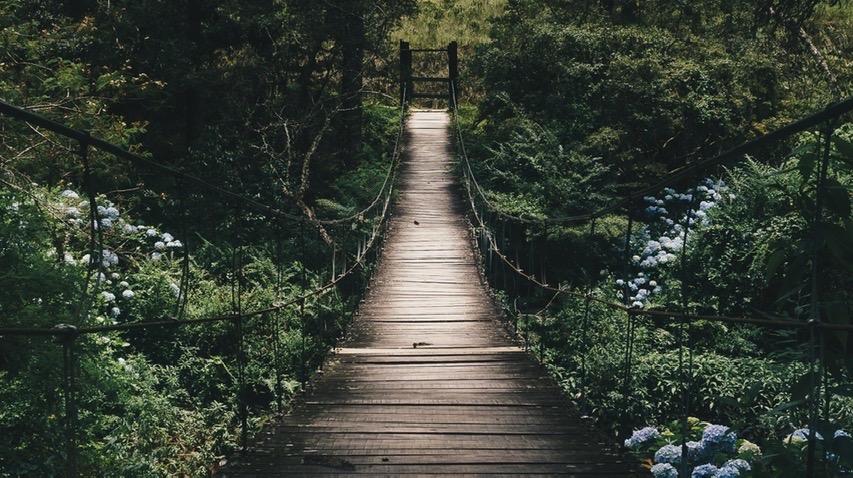 Photo by Kaique Rocha from Pexels