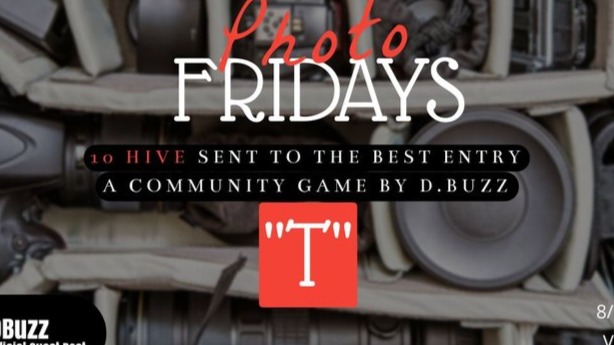 Photo Fridays - Have some photo fun and have a shot at winning 10 Hive! "T"