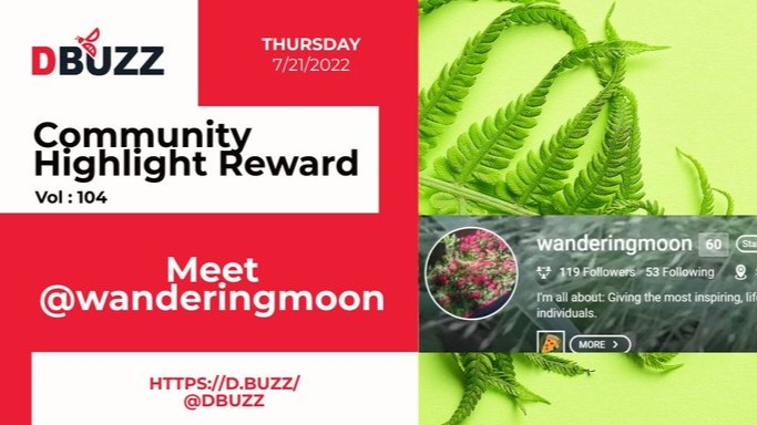 D.Buzz Community Highlight: @wanderingmoon