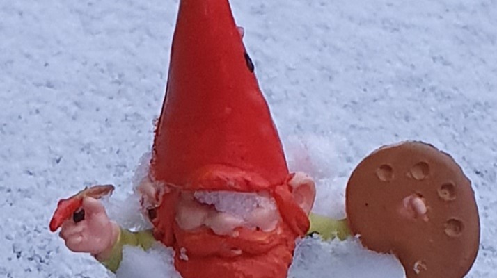 Snow