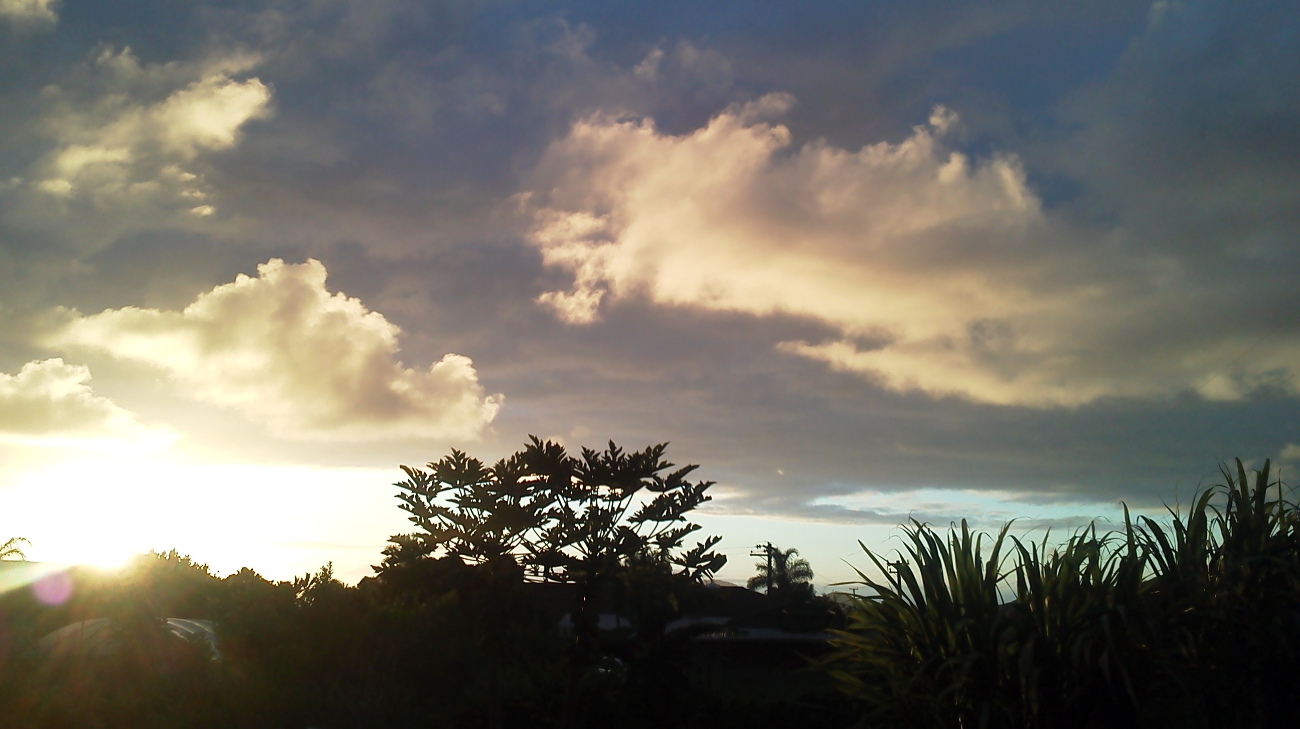 New Dawn