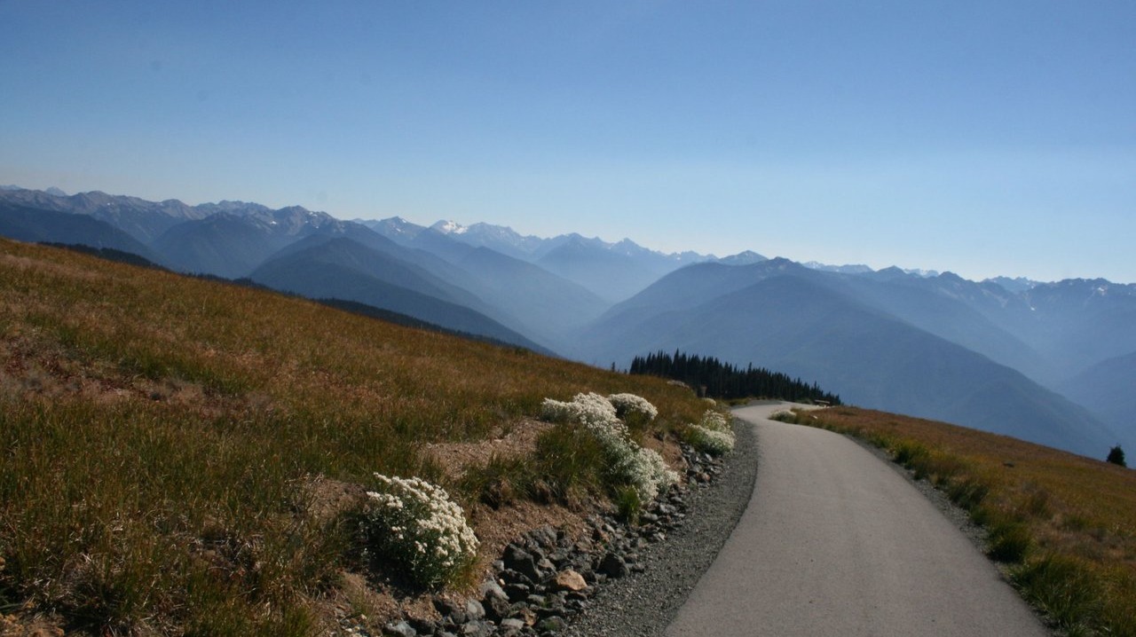 A short hike along the Hurricane Ridge Trail in the Olympic Peninsula of Washington, USA