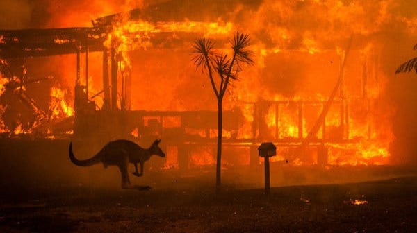 australian bushfire