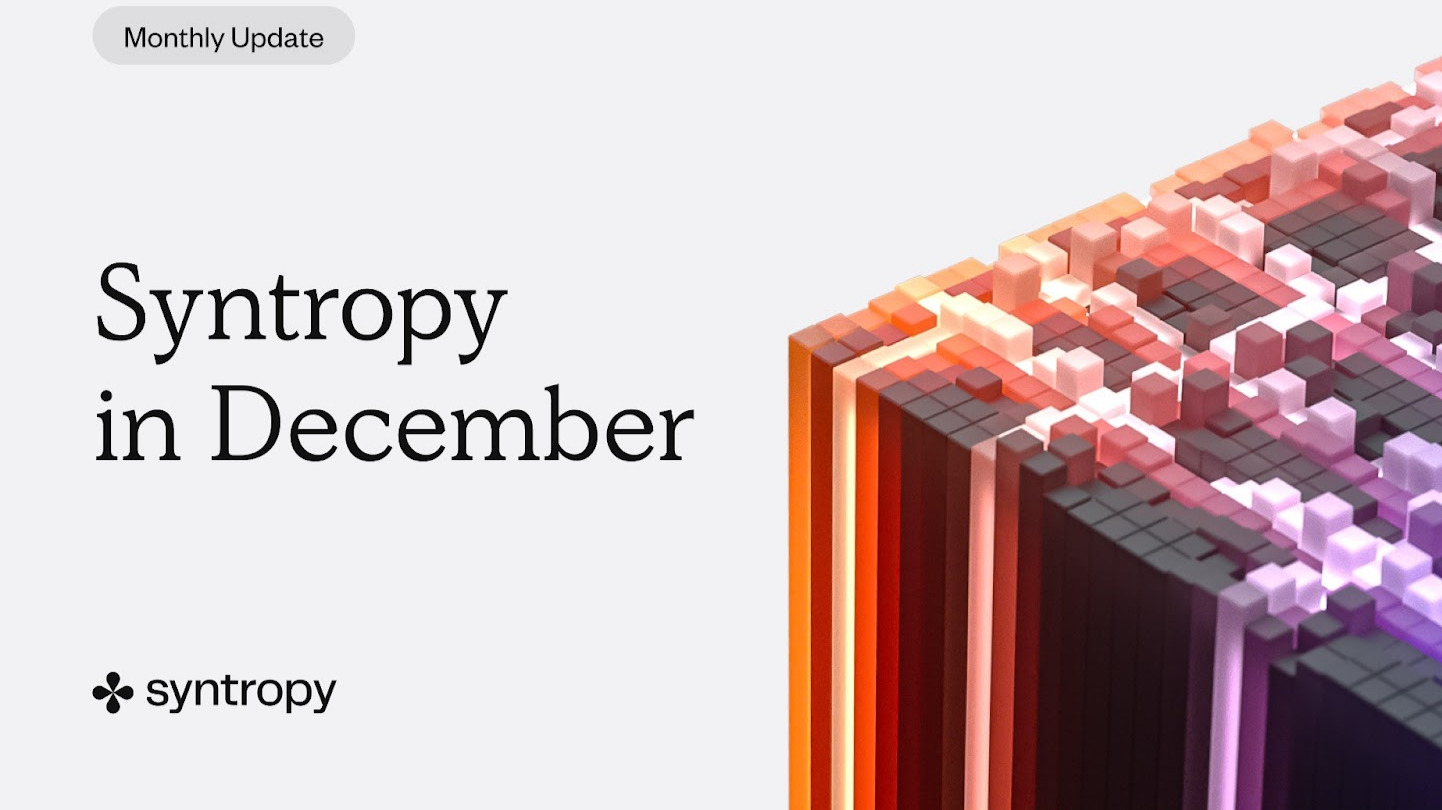 Syntropy in December 2022