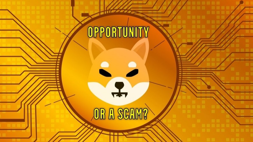 Shiba Inu: Is It Worth Your Time And Money?