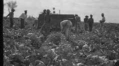 growing crops, long ago