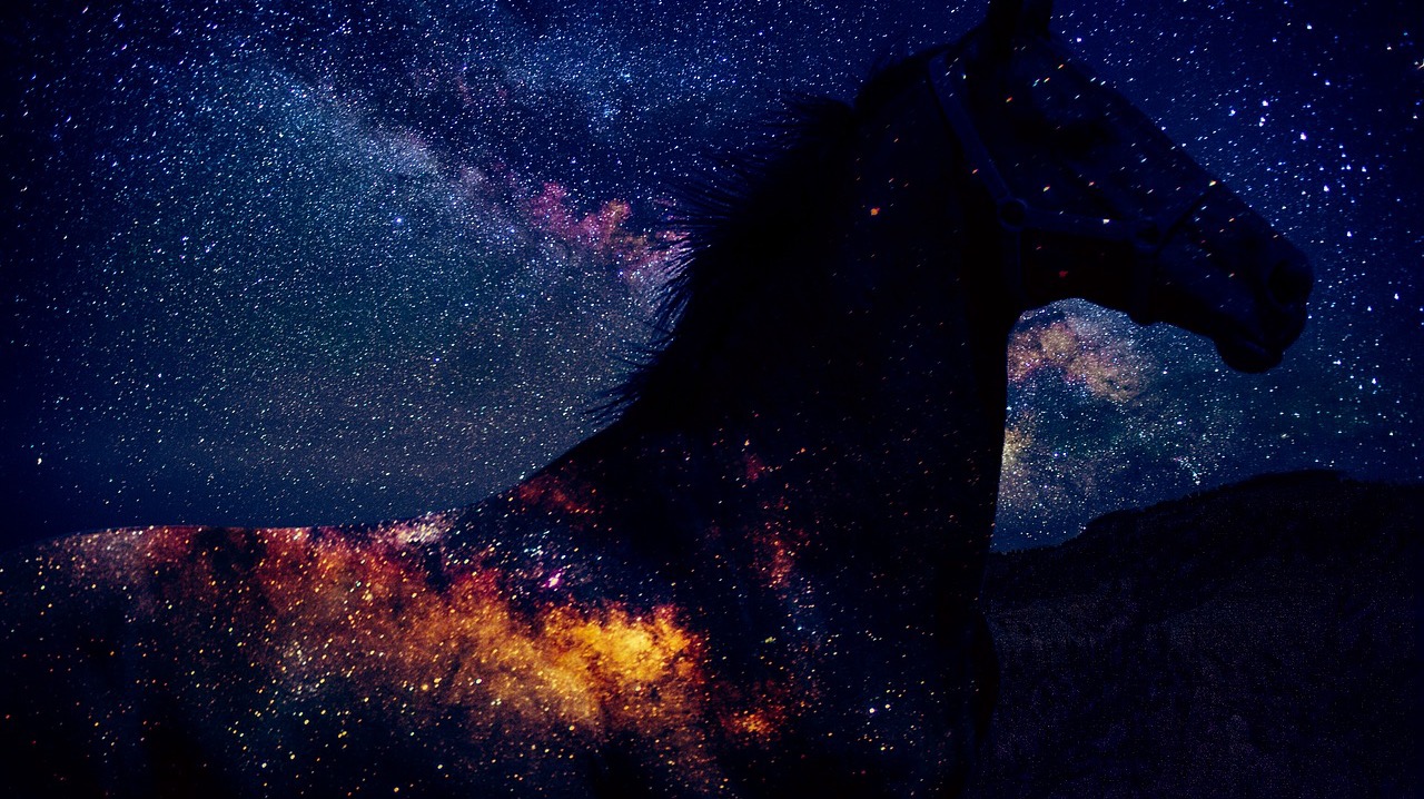 Pixabay
