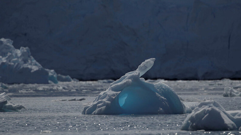 So-called "ice rabbit" conspiracy theorists say is proof of lost Quatrian civilization in Antarctica