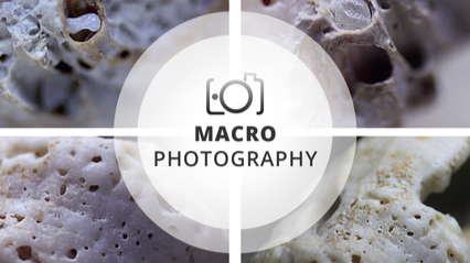 #1 Macro Photography Session | General view of erosion
