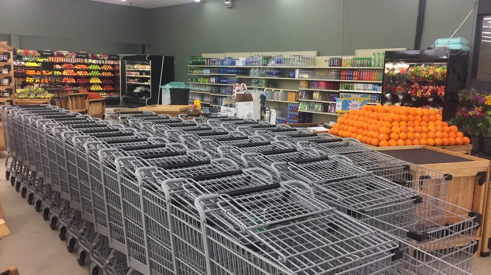 organically optimized produce department