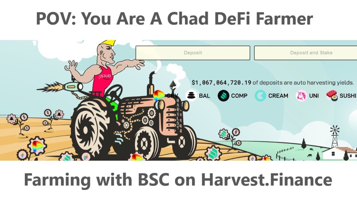 POV: You Are A Chad DeFi Farmer - Farming with BSC on Harvest.Finance