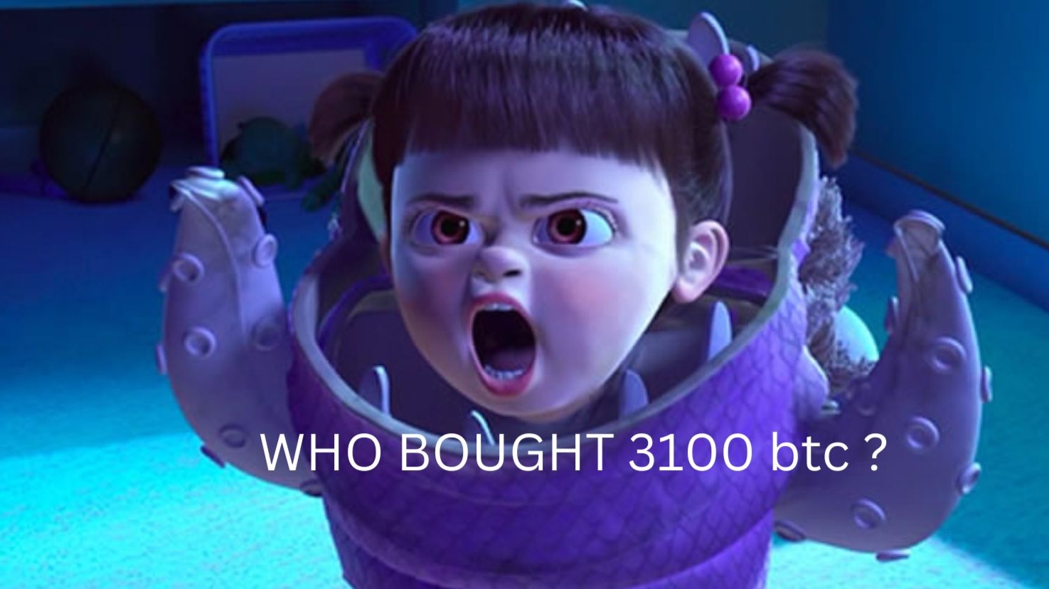 Who bought 3100 BTC