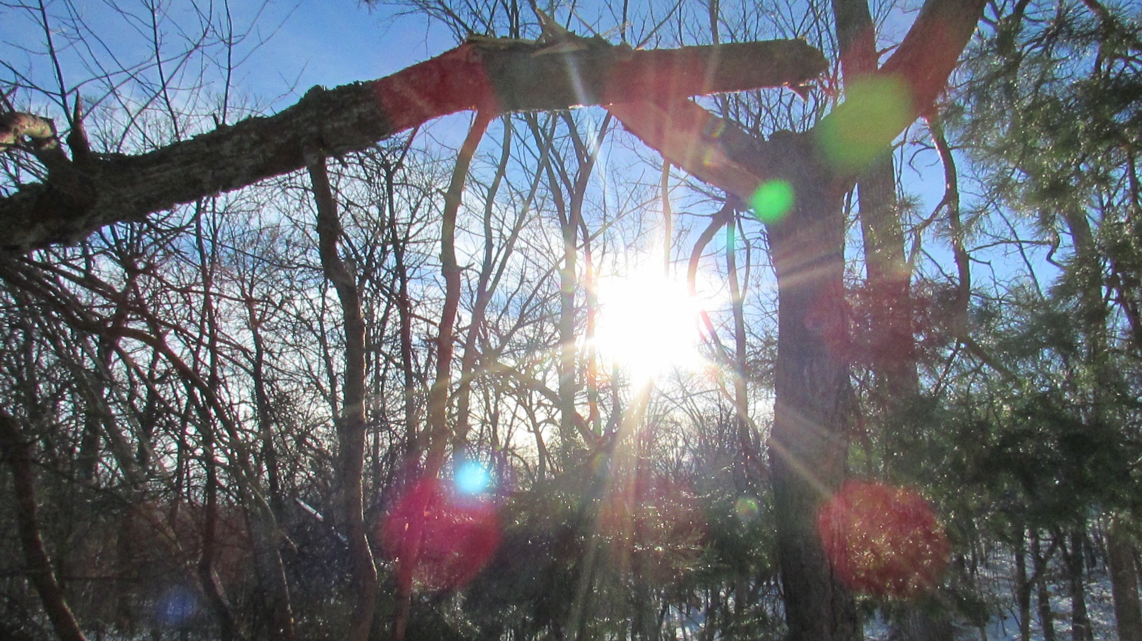 Sunlight