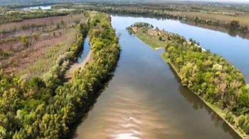 Croatia now calls Liberland a Parastate: A step towards recognition