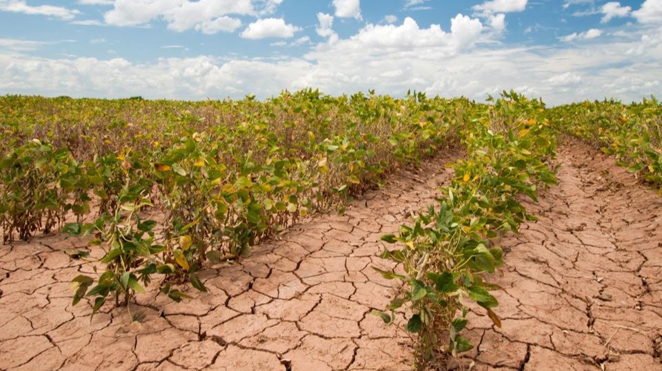 Agriculture and health equity impacted by global changes