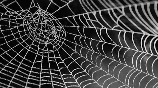 Masq is the web3 browser that makes accessing all crypto narratives easy