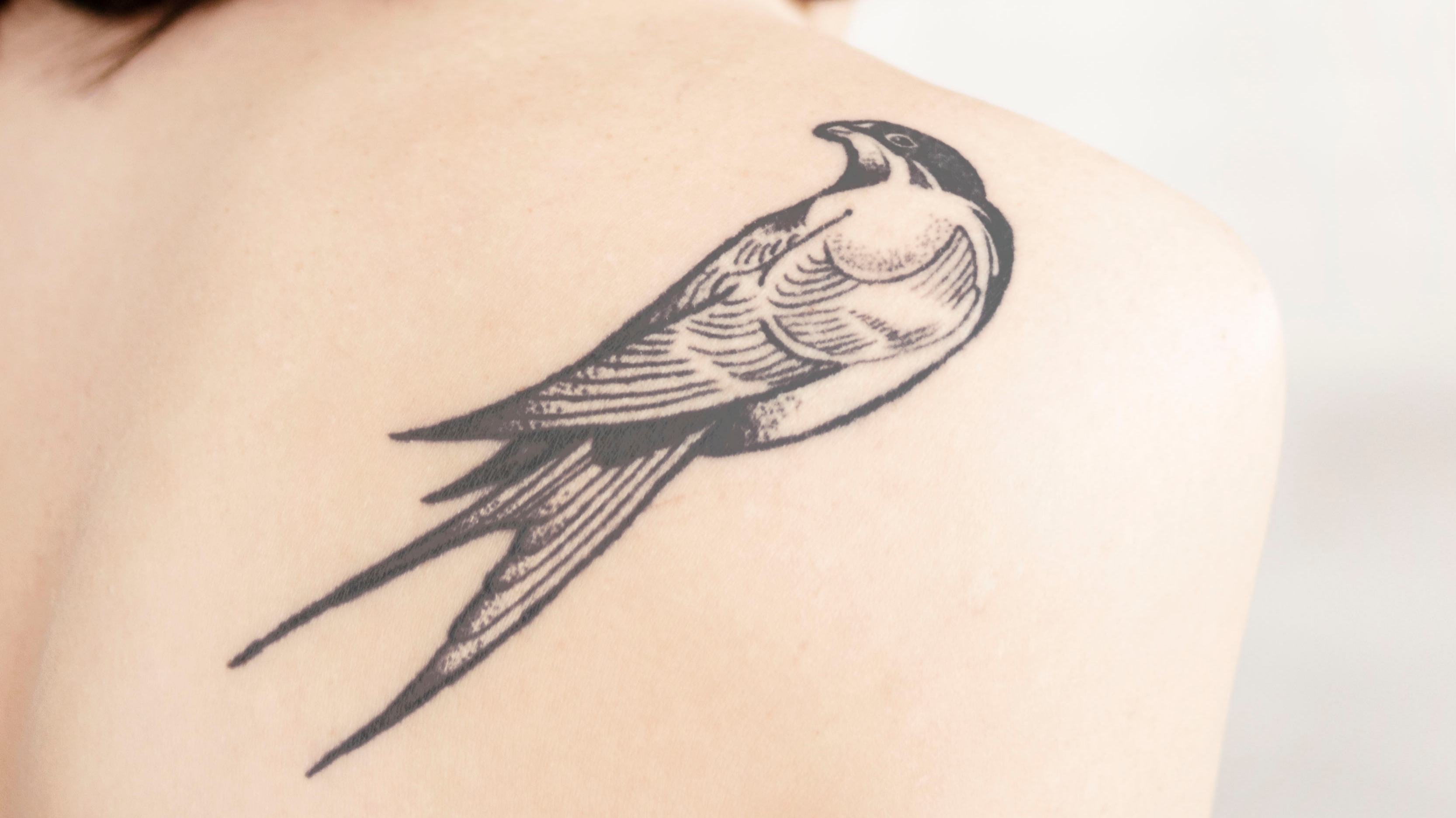 Tattoo Bird