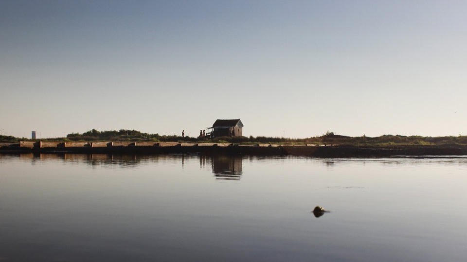 Trip to Salt Pans - Salinas de Aveiro | Portugal
