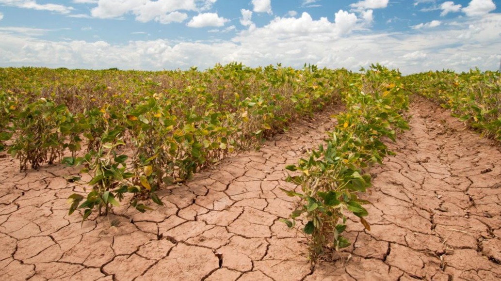 fa-sus-climate-drought-soybeans