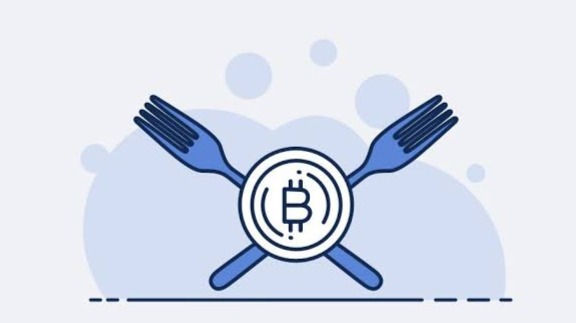 https://www.bitcoinmagazine.com/what-is-bitcoin/what-are-bitcoin-forks