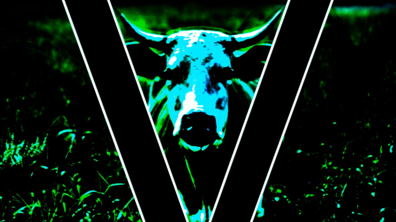 VMEM - Rindermesse