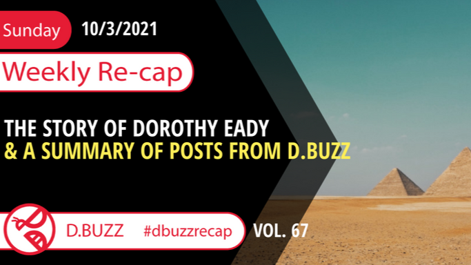 Recap of this Week's Posts by D.Buzz Vol.67